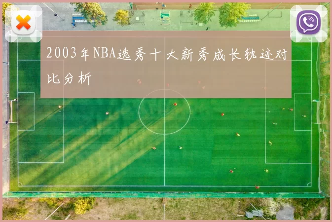 2003年NBA选秀十大新秀成长轨迹对比分析