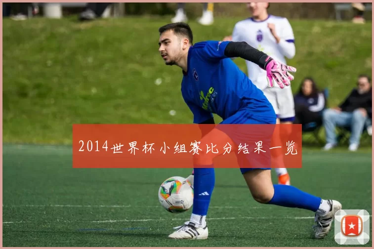 2014世界杯小组赛比分结果一览