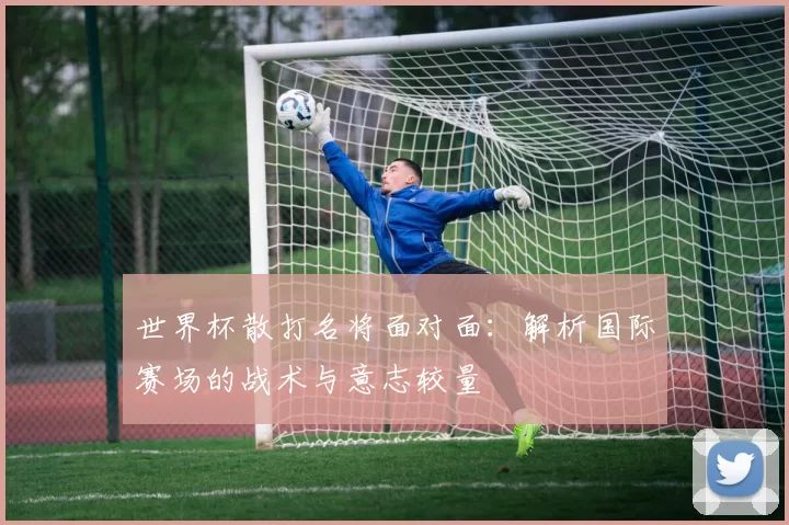 世界杯散打名将面对面：解析国际赛场的战术与意志较量