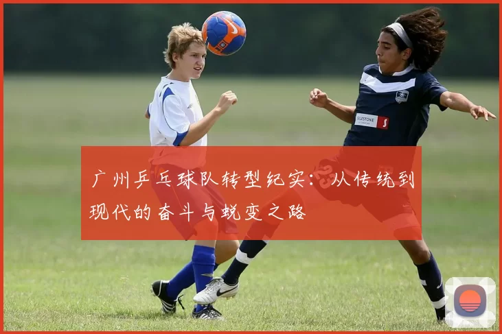 广州乒乓球队转型纪实：从传统到现代的奋斗与蜕变之路