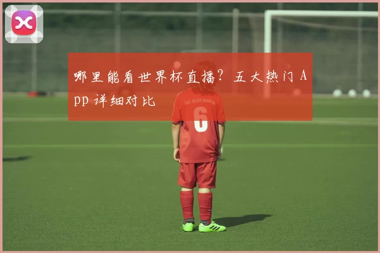 哪里能看世界杯直播?五大热门 App 详细对比