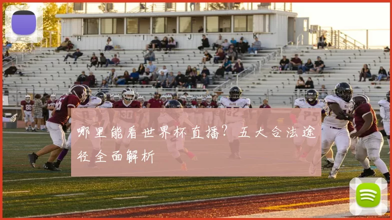 哪里能看世界杯直播?五大合法途径全面解析