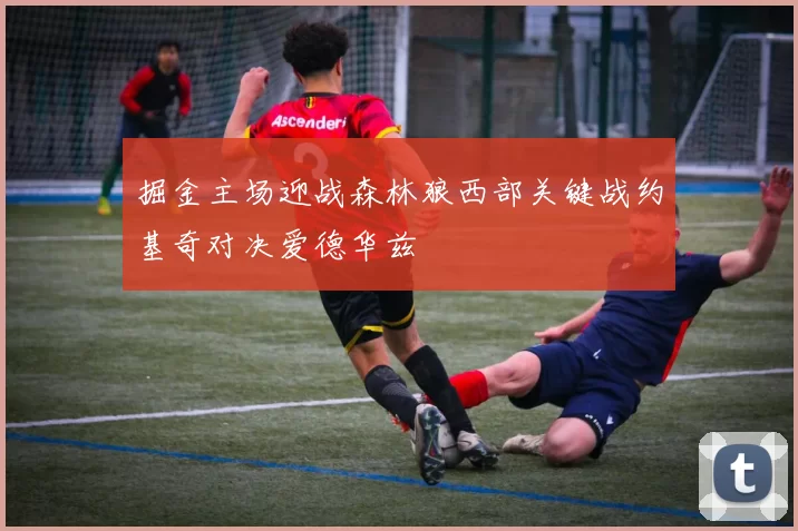 掘金主场迎战森林狼西部关键战约基奇对决爱德华兹