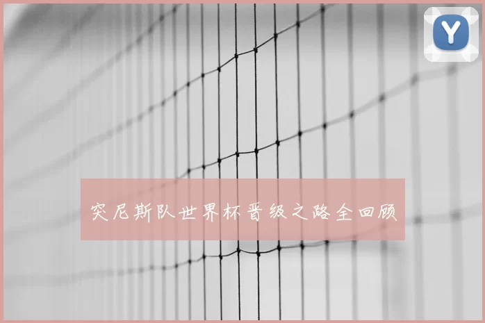 突尼斯队世界杯晋级之路全回顾
