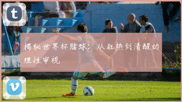 揭秘世界杯赌球：从狂热到清醒的理性审视