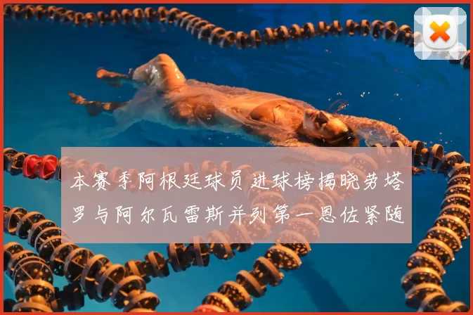 本赛季阿根廷球员进球榜揭晓劳塔罗与阿尔瓦雷斯并列第一恩佐紧随其后