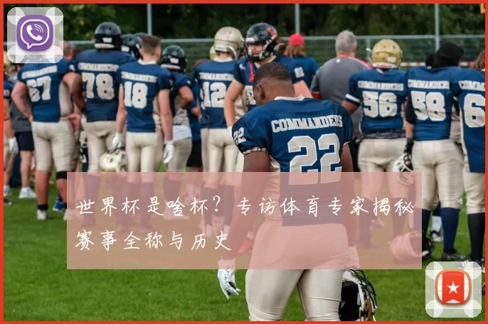 世界杯是啥杯？专访体育专家揭秘赛事全称与历史
