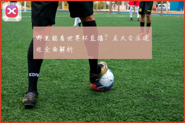 哪里能看世界杯直播?五大合法途径全面解析