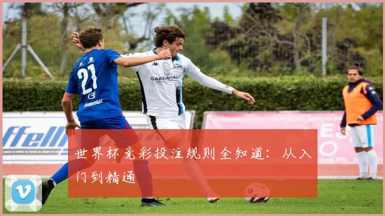 世界杯竞彩投注规则全知道:从入门到精通