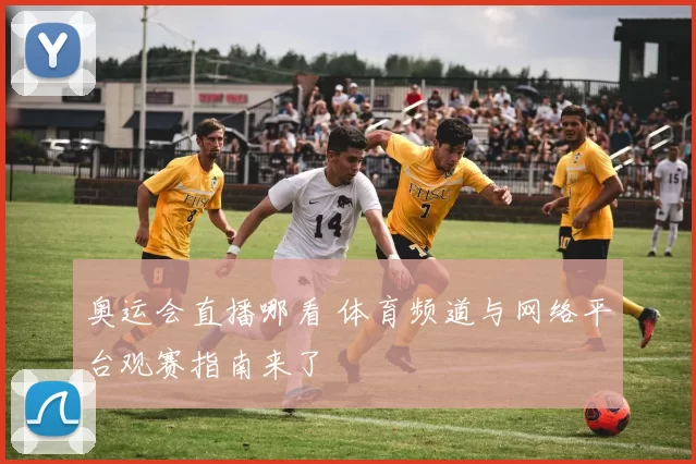 奥运会直播哪看 体育频道与网络平台观赛指南来了