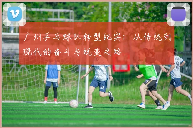 广州乒乓球队转型纪实：从传统到现代的奋斗与蜕变之路