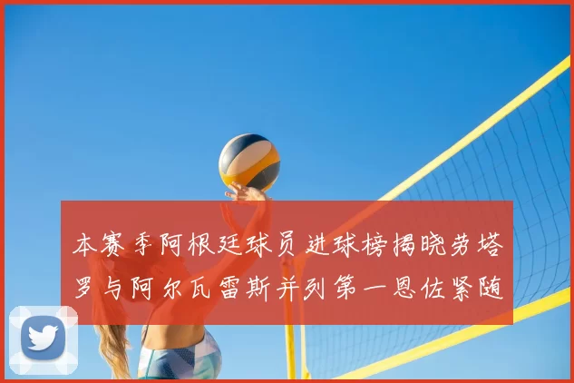 本赛季阿根廷球员进球榜揭晓劳塔罗与阿尔瓦雷斯并列第一恩佐紧随其后
